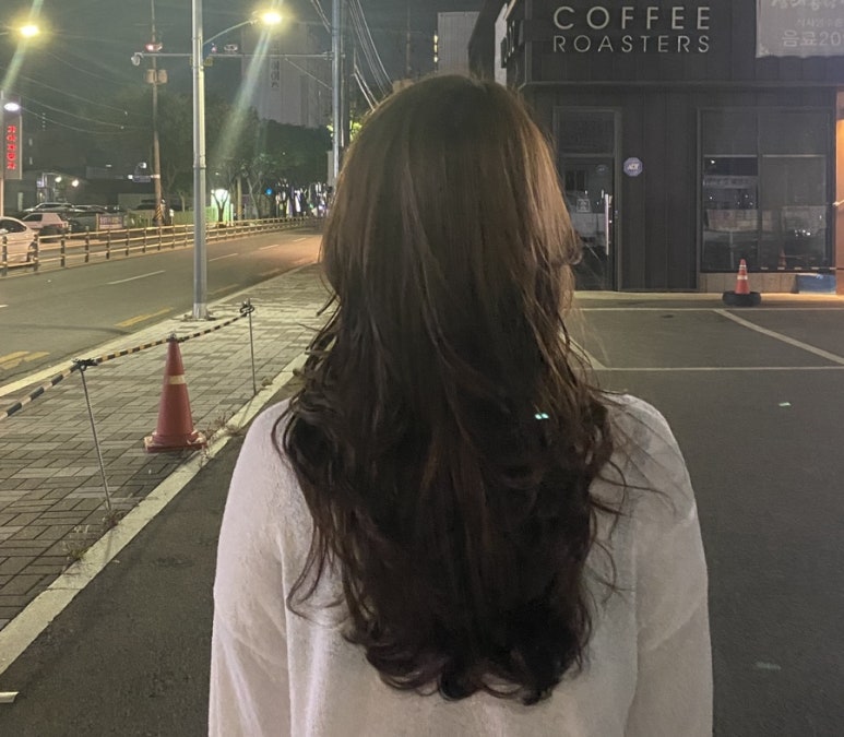 로슬린헤어 이미지