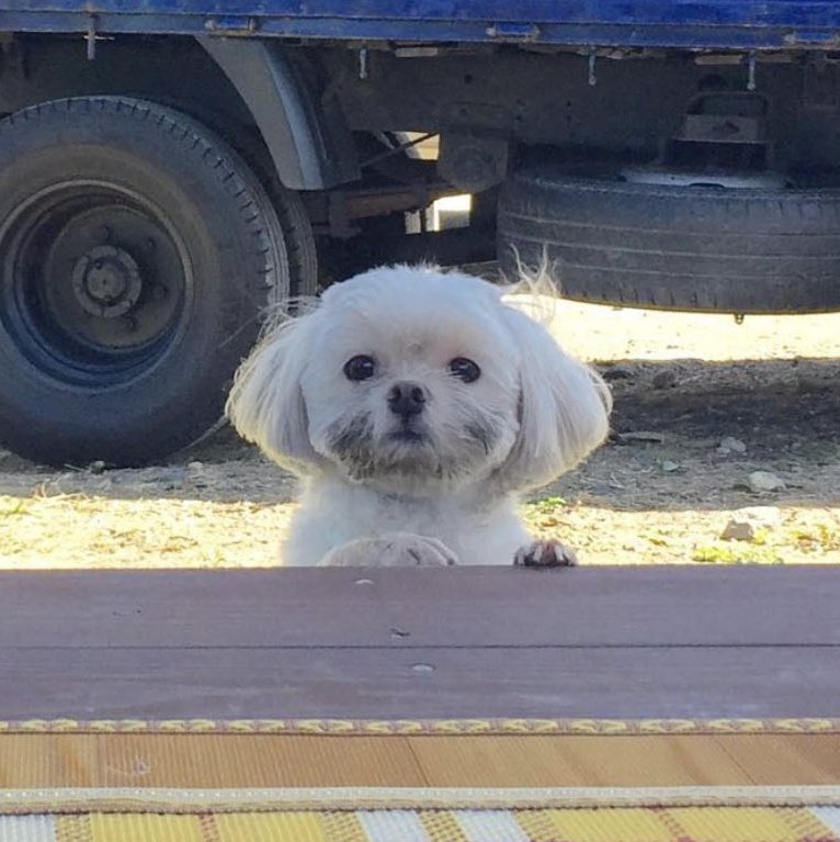데이바이데이 이미지