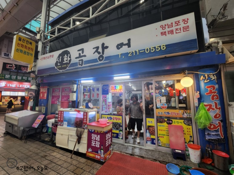 신화곰장어 이미지