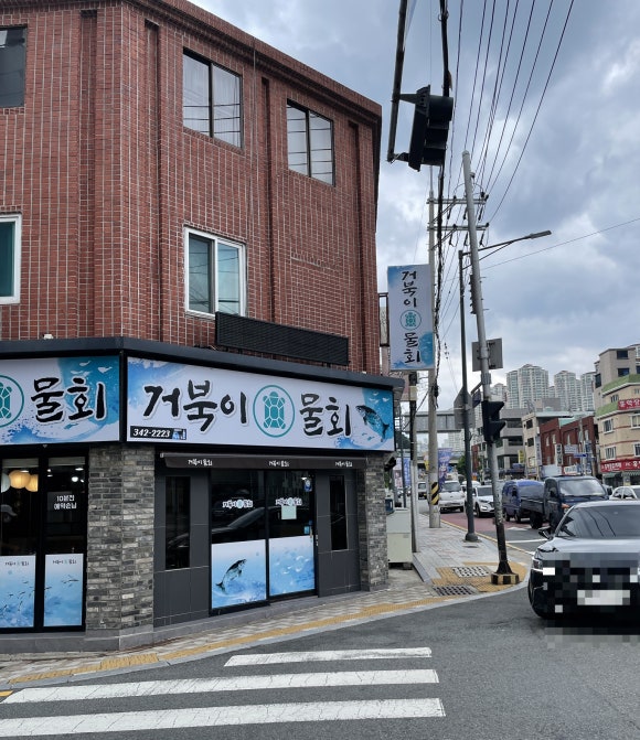 거북이물회 이미지