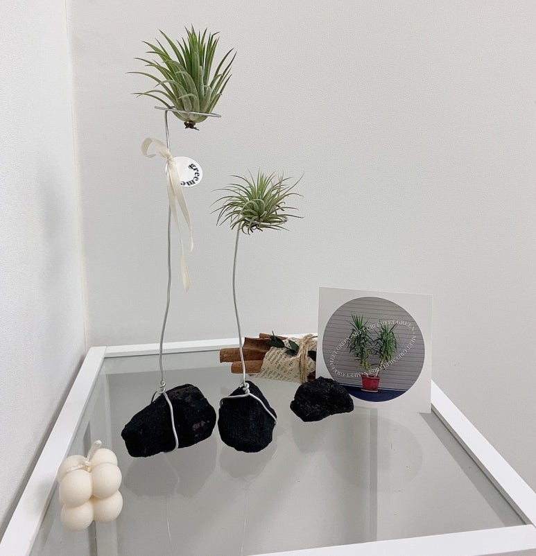 이오이오반점 이미지