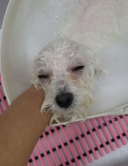 두루미컷 이미지