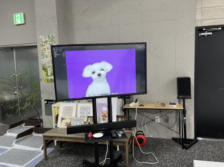 루체테스튜디오 이미지