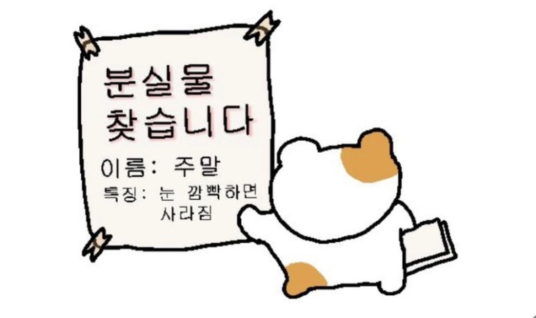 라삐도 이미지