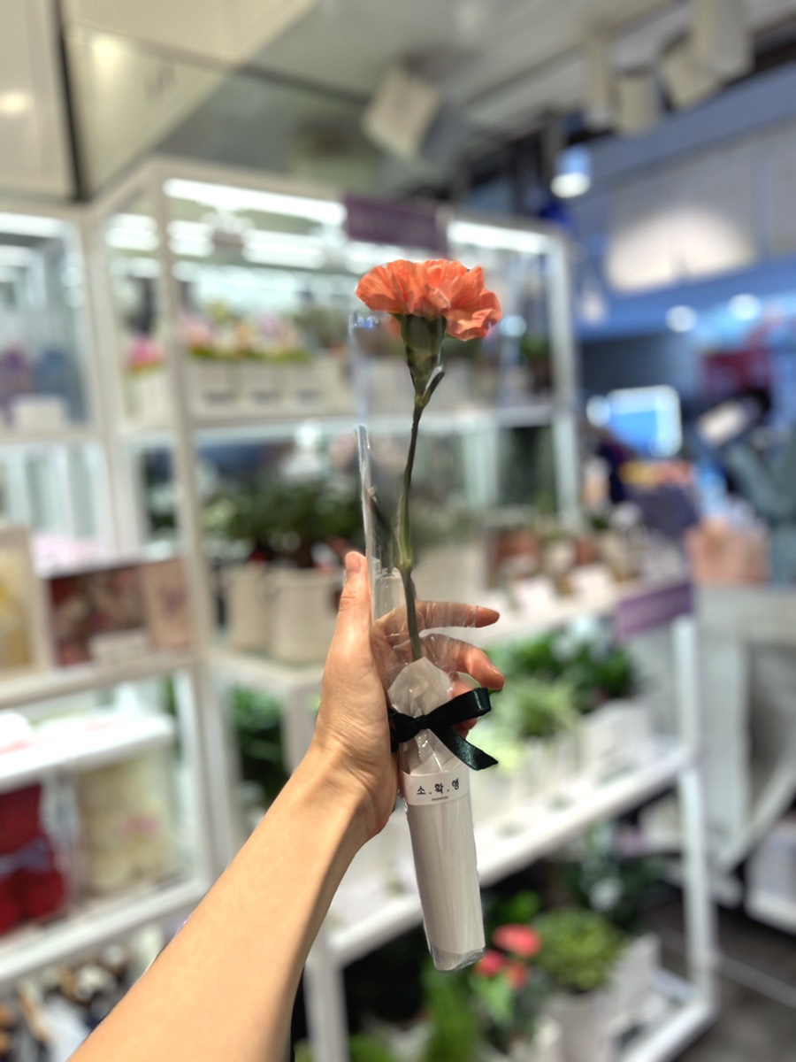 스노우폭스플라워강남 이미지