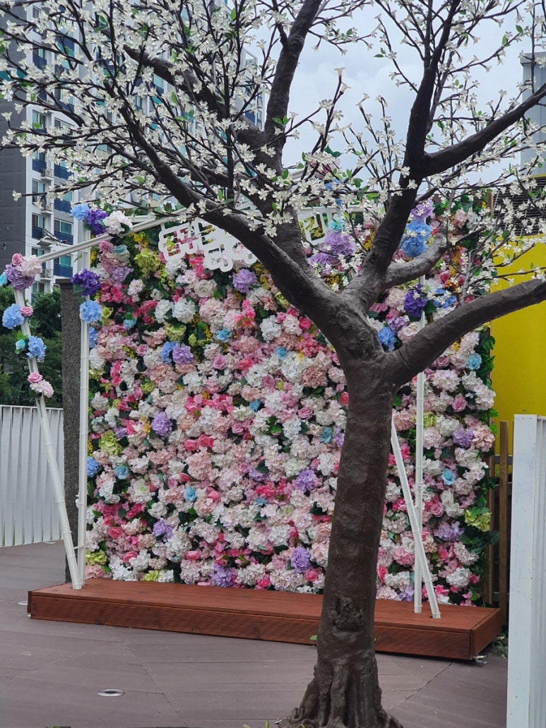올리브정육점 이미지