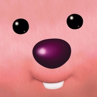 세일쇼핑 이미지