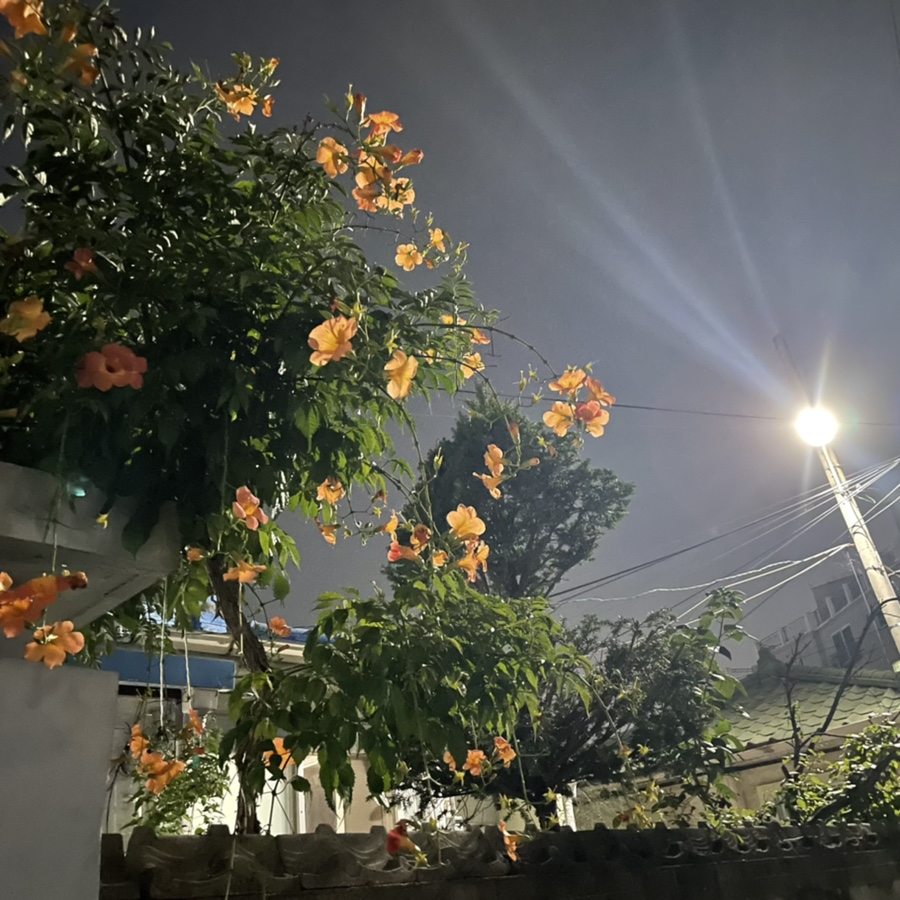 옥식이쭈꾸미 이미지
