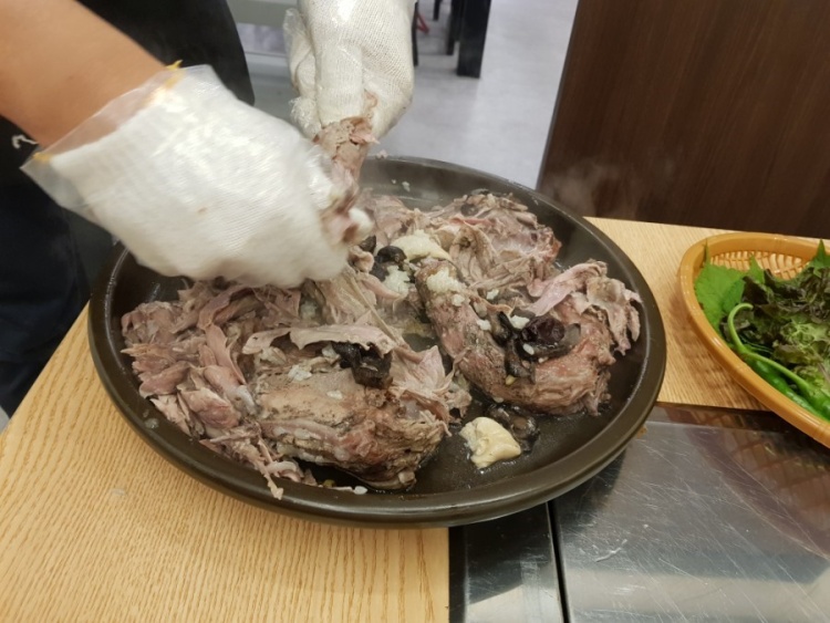 숲오리 이미지