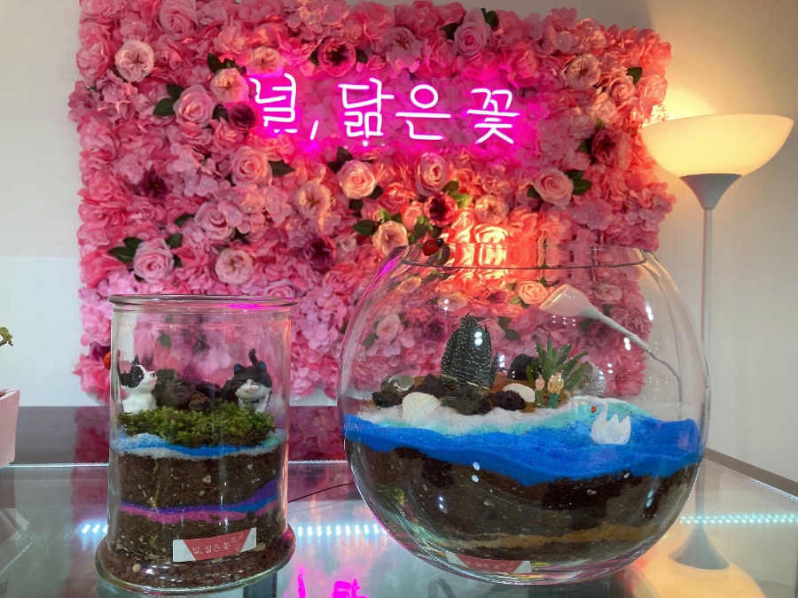 널;닮은꽃 이미지