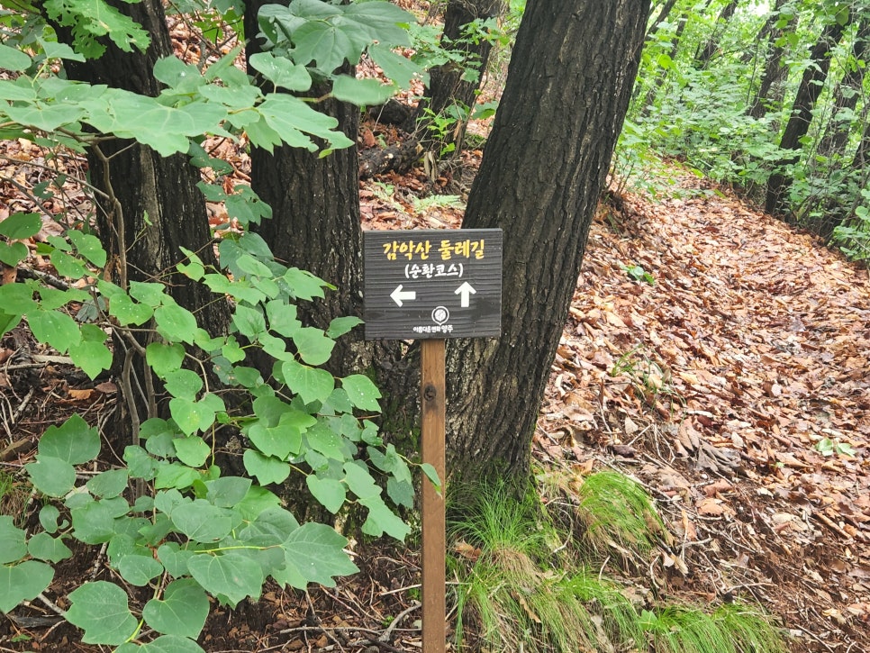 청산파크 이미지
