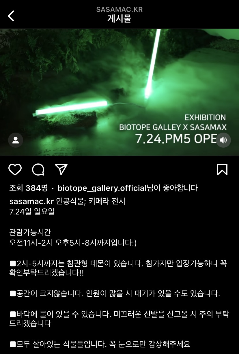 사사막 이미지
