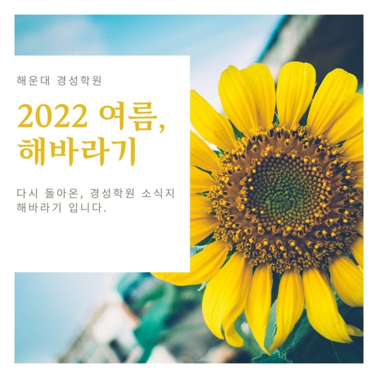 해바라기음악학원 이미지