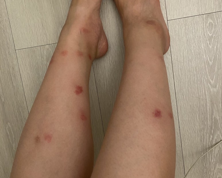 더신더 이미지