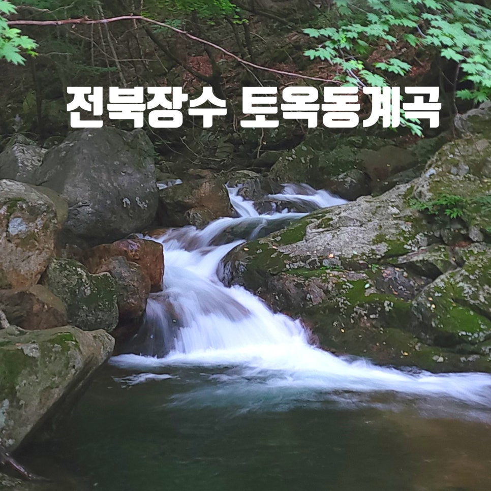 토옥동송어횟집 이미지