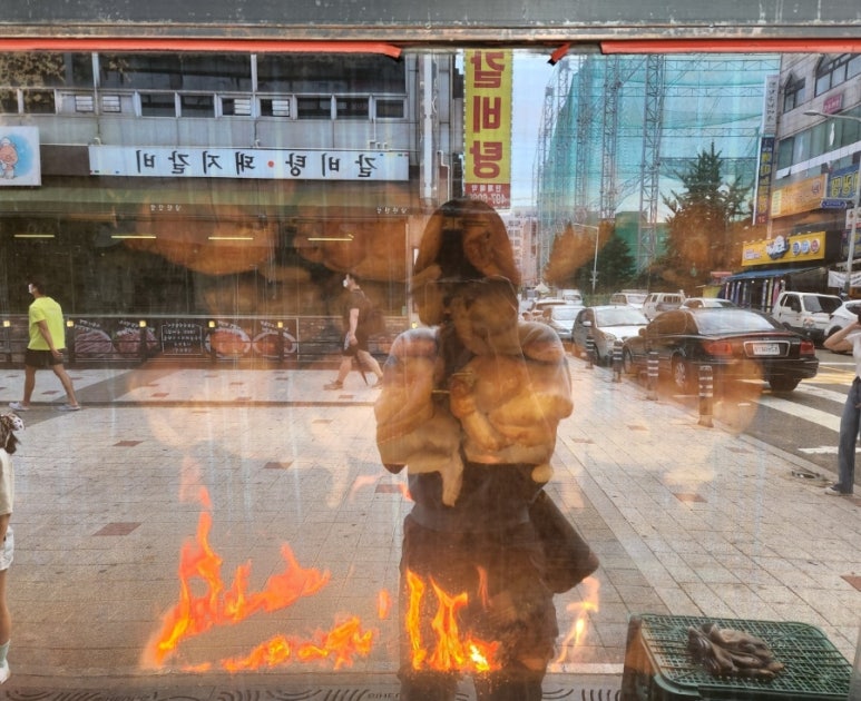 참나무누룽닭 이미지