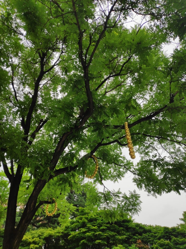 더레퍼런스서소문점 이미지