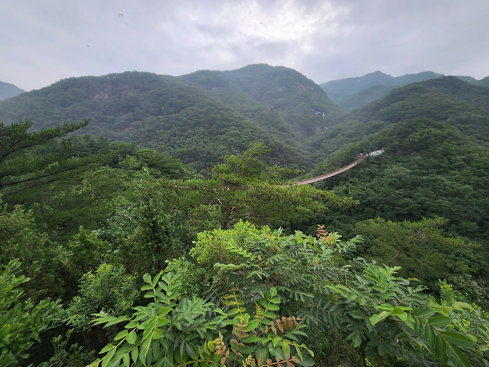 청산파크 이미지