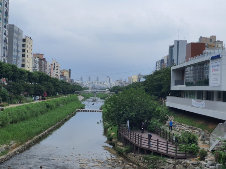 올리브정육점 이미지