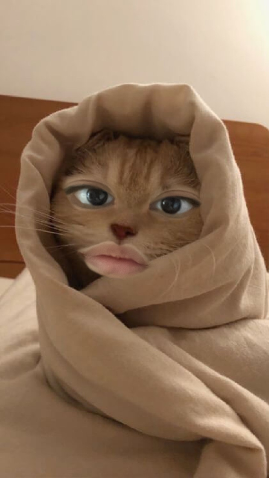 (주)요즘 이미지