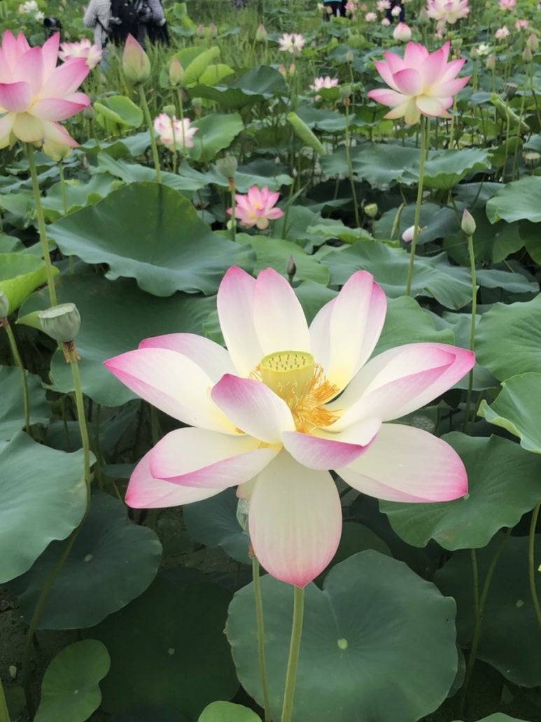 (주) 우재 이미지