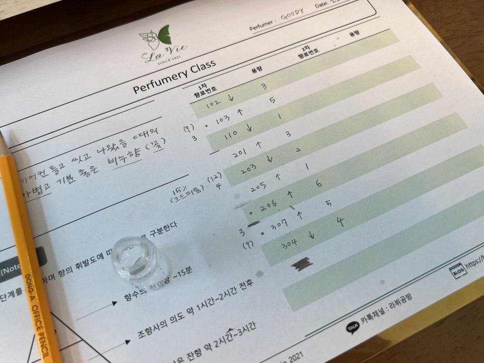 프리지아103 이미지