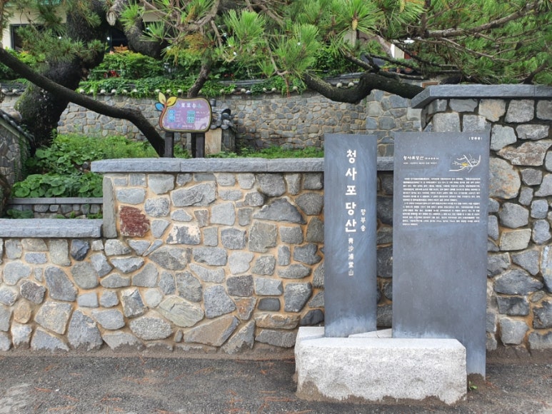 앨리스도넛 이미지