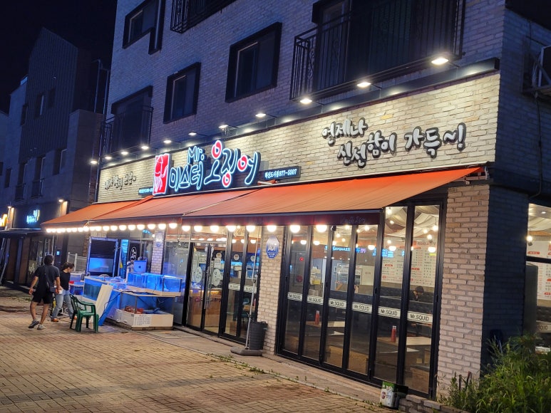 미스터오징어 이미지