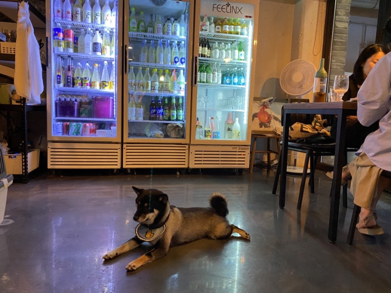 이누베스트 이미지