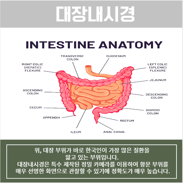변내과의원 이미지