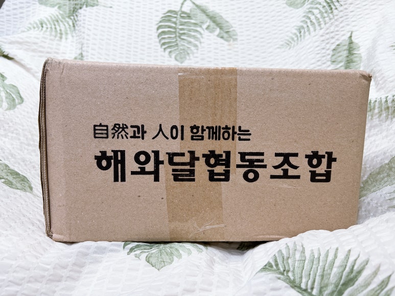 칼국수해와달 이미지