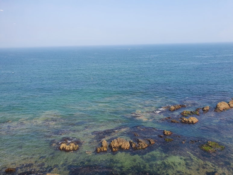 씨앤트리(Sea&Tree) 이미지
