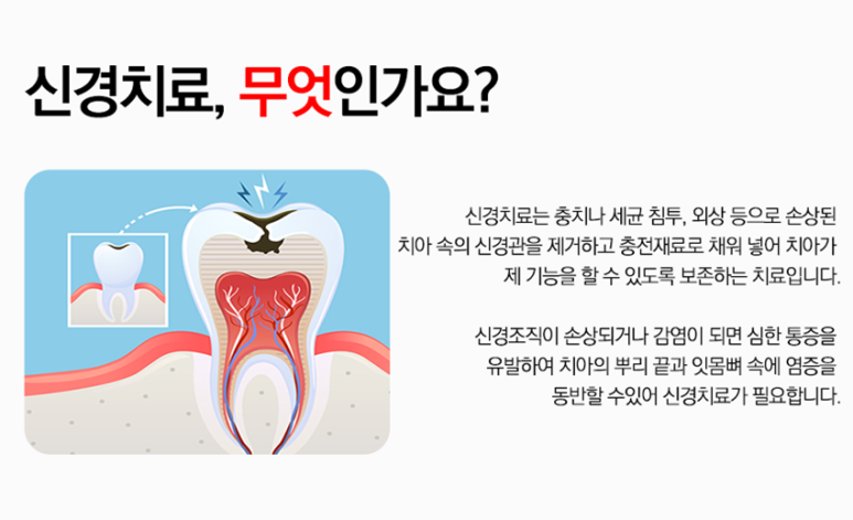 분당지세븐치과 이미지