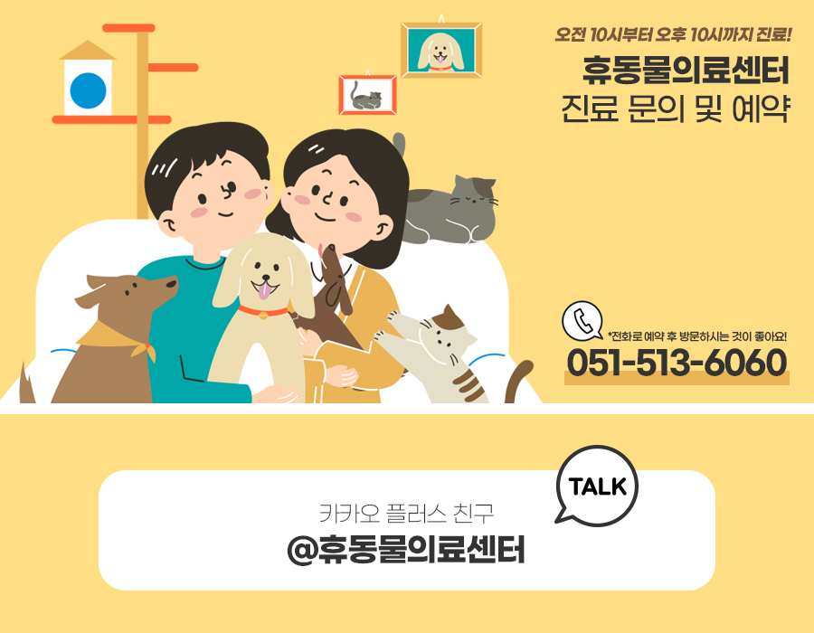 온천장고양이 이미지