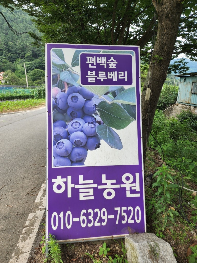 하늘숲황토펜션 이미지