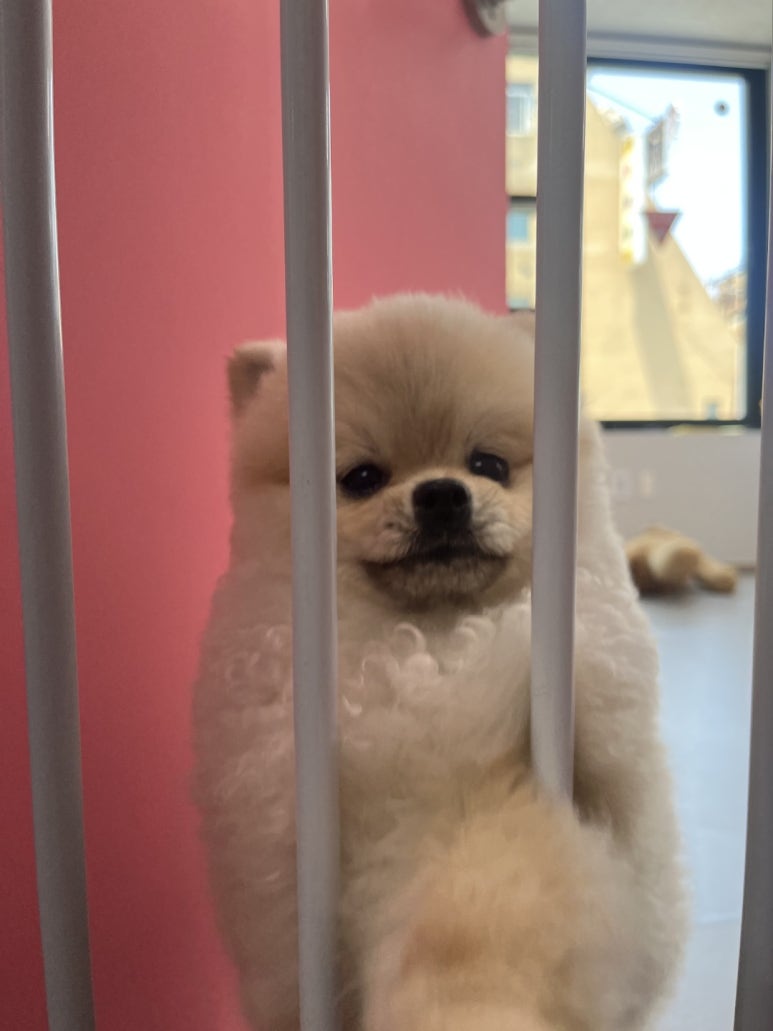 써니살롱 이미지