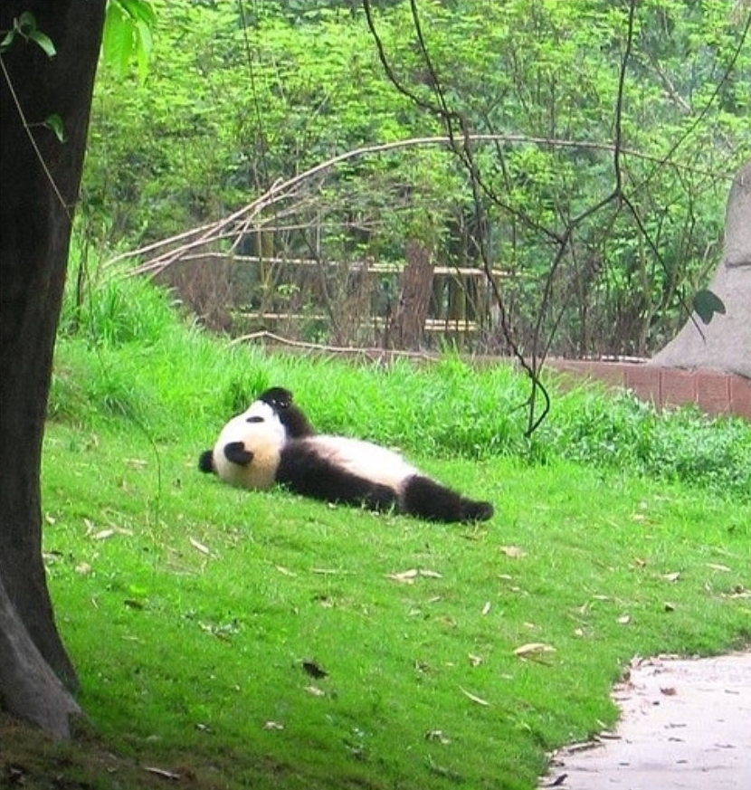 미정의 이미지