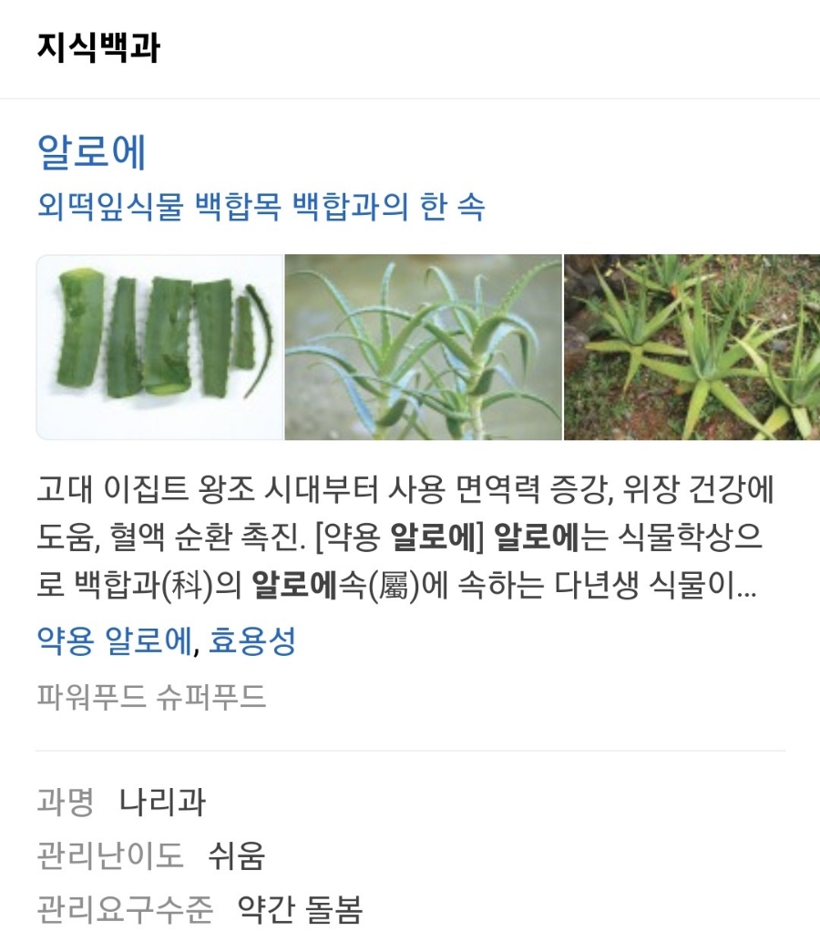 제주농장영농조합법인제주지점 이미지