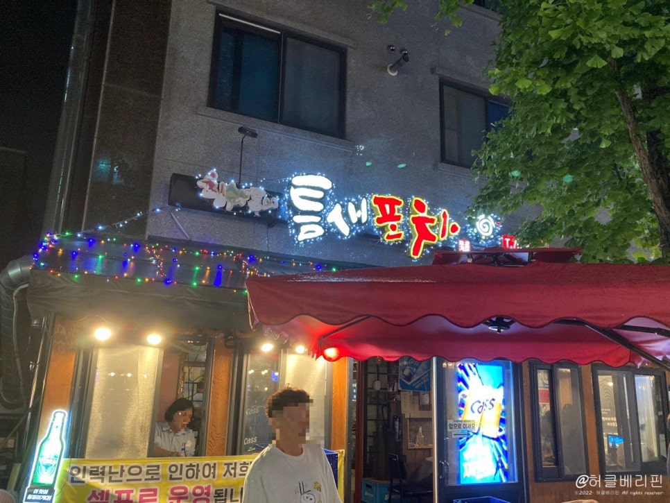 디스코포차 이미지