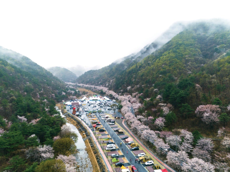 산꽃벚꽃오토캠핑장 이미지