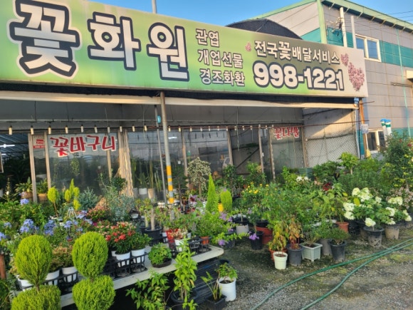 그린꽃화원 이미지