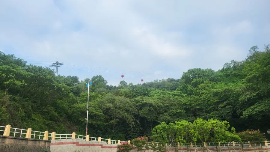 우등카 이미지