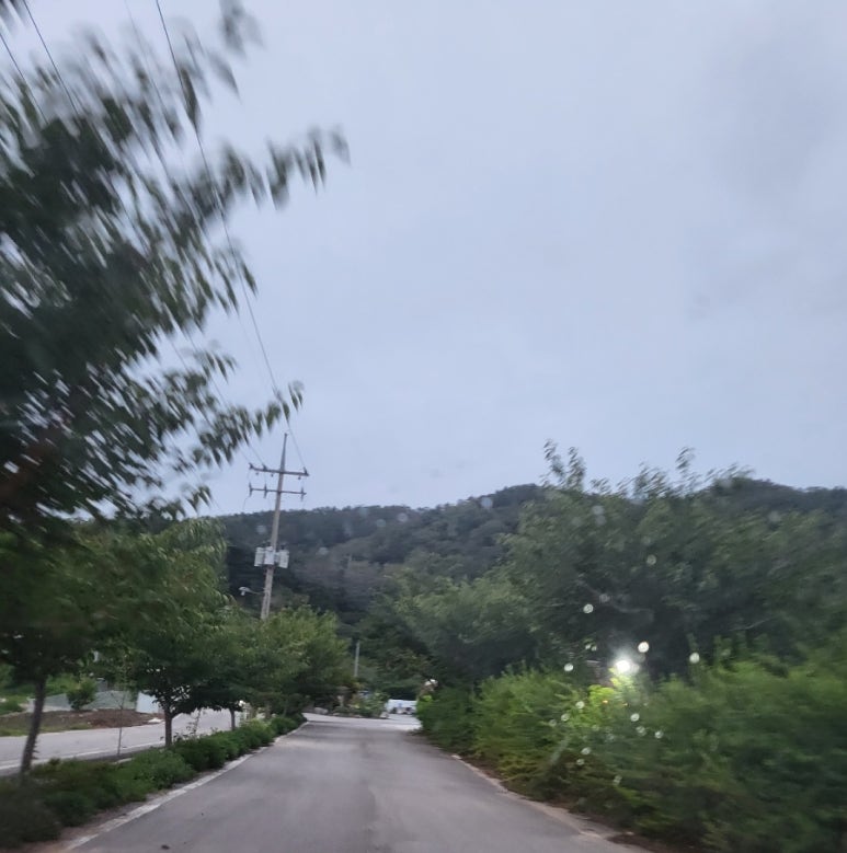 진향가든 이미지