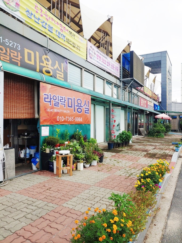 보성상회 이미지