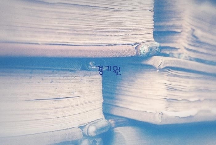 세계로원격평생교육원 이미지