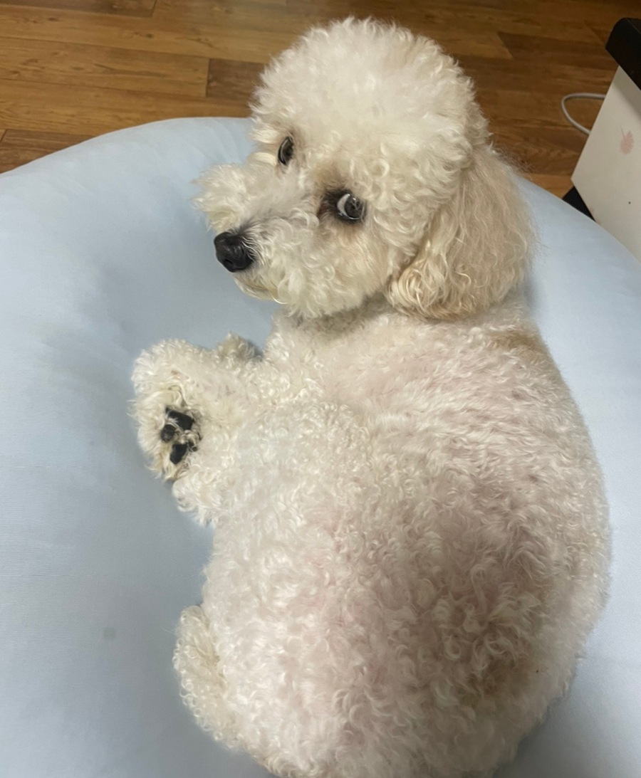 고래성;냉면 이미지