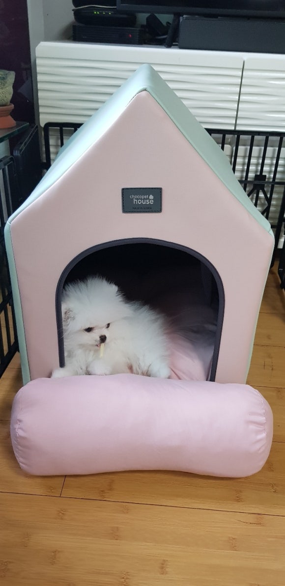 송이집 이미지