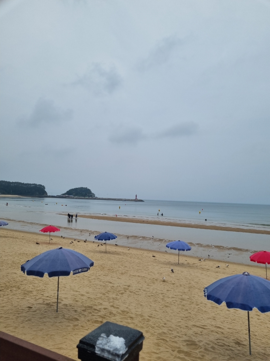 만리포오락 이미지