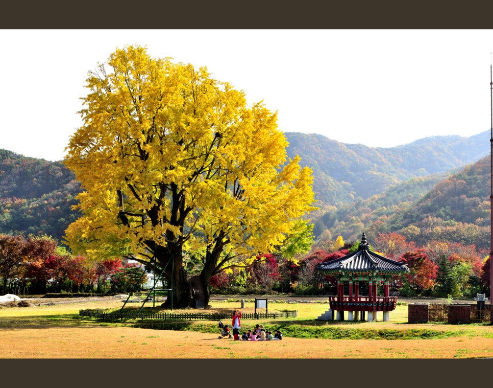 마달(대전) 이미지