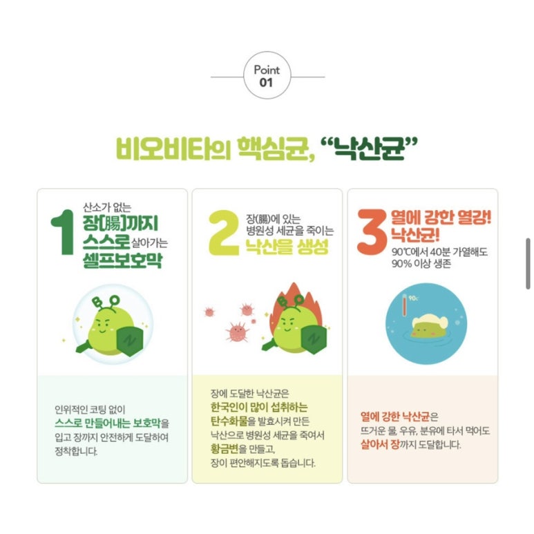 배배컴퍼니 이미지